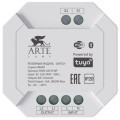 Модуль SMART для независимого включения 2 групп светильников, без диммирования Arte Lamp A90S-02CH-WF