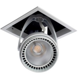 Спот Arte Lamp CARDANI A1618PL-1WH