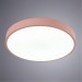 Настенно-потолочный светильник Arte Lamp A2661PL-1PK ARENA светодиодный LED 60W