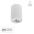 Точечный накладной светильник Arte Lamp SENTRY A1566PL-1WH