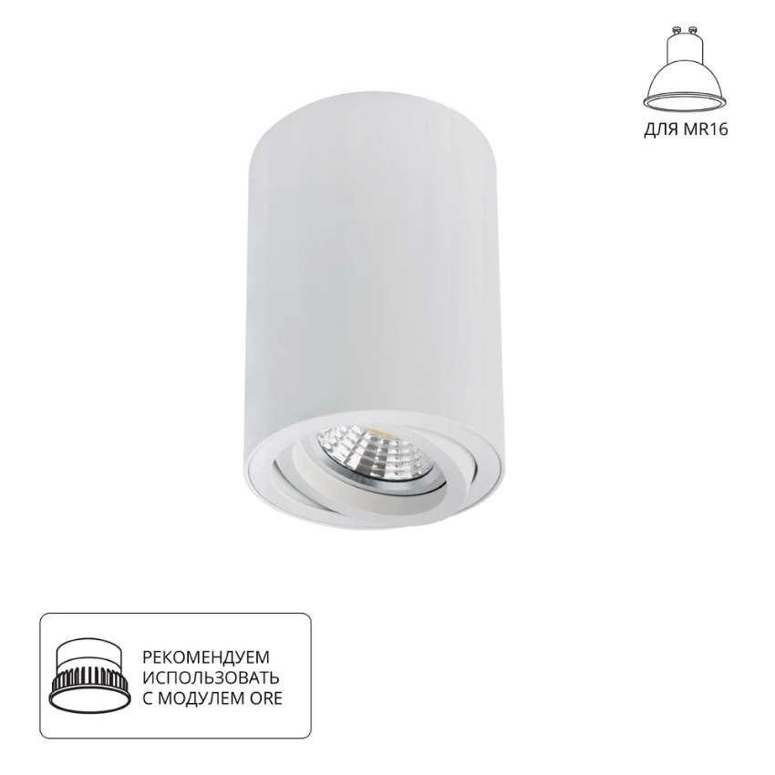 Точечный накладной светильник Arte Lamp SENTRY A1566PL-1WH