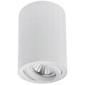 Точечный накладной светильник Arte Lamp SENTRY A1566PL-1WH