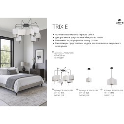 Подвесная люстра Arte Lamp TRIXIE A7084SP-6BK