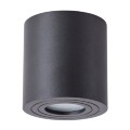 Уличный потолочный светильник Arte Lamp A1460PL-1BK GALOPIN IP44 под лампу 1xGU10 35W