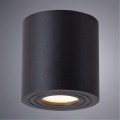 Уличный потолочный светильник Arte Lamp A1460PL-1BK GALOPIN IP44 под лампу 1xGU10 35W