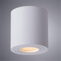 Уличный потолочный светильник Arte Lamp A1460PL-1WH GALOPIN IP44 под лампу 1xGU10 35W
