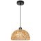 Подвесной светильник Arte Lamp BRUSHWOOD A7086SP-1BK