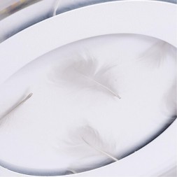 Потолочный светильник Arte Lamp MULTI-PIUMA A1397PL-1CL