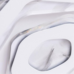 Потолочный светильник Arte Lamp MULTI-PIUMA A1398PL-1CL