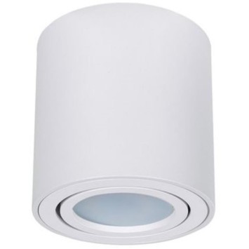 Точечный накладной светильник Arte Lamp BEID A1513PL-1WH