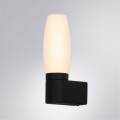 Настенный светильник Arte Lamp A1209AP-1BK