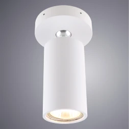 1968/03 PL-1 СВЕТИЛЬНИК ПОТОЛОЧНЫЙ