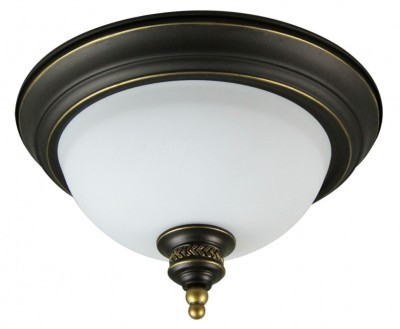 Настенно-потолочный светильник Arte Lamp A9518PL-2BA BONITO под лампы 2xE27 40W