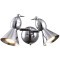 Спот Arte Lamp PICCHIO A9229AP-2CC