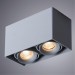 Накладной потолочный светильник Arte Lamp A5654PL-2GY PICTOR под лампы 2xGU10 50W