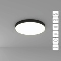 Потолочный светильник Arte Lamp FADO A6699PL-1BK