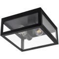 Уличный потолочный светильник Arte Lamp A4569PF-2BK BELFAST IP44 под лампы 2xE27 60W