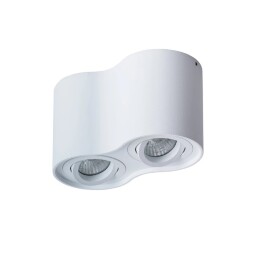 Накладной потолочный светильник Arte Lamp A5645PL-2WH FALCON под лампы 2xGU10 50W