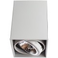 Точечный накладной светильник Arte Lamp CARDANI GRANDE A5936PL-1WH