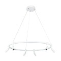 Подвесная люстра Arte Lamp RING A2186SP-1WH