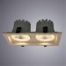 Встраиваемый светильник Arte Lamp A7018PL-2WH PRIVATO светодиодный 2xLED 18W