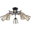 Потолочная люстра со стеклянными плафонами Arte Lamp GLASSY A5078PL-5BK лампы 5шт E27