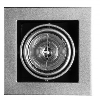 Встраиваемый светильник Arte Lamp A5930PL-1SI CARDANI MEDIO под лампу 1xG53 50W