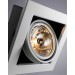 Встраиваемый светильник Arte Lamp A5930PL-1WH CARDANI MEDIO под лампу 1xG53 50W