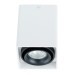 Накладной потолочный светильник Arte Lamp A5655PL-1WH PICTOR под лампу 1xGU10 50W