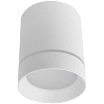 Накладной потолочный светильник Arte Lamp A1909PL-1WH ELLE светодиодный LED 9W