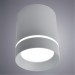 Накладной потолочный светильник Arte Lamp A1909PL-1GY ELLE светодиодный LED 9W