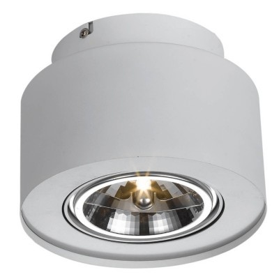 Накладной потолочный светильник Arte Lamp A5643PL-1WH CLIFF под лампу 1x