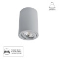 Точечный накладной светильник Arte Lamp SENTRY A1560PL-1GY