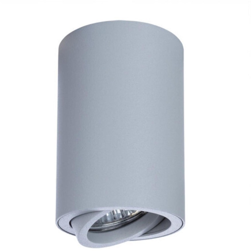 Точечный накладной светильник Arte Lamp SENTRY A1560PL-1GY