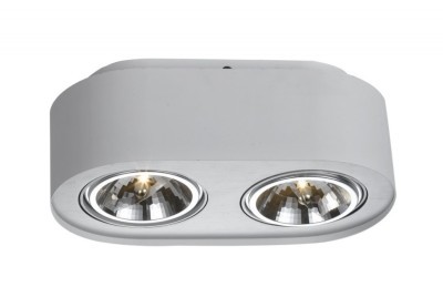 Накладной потолочный светильник Arte Lamp A5643PL-2WH CLIFF под лампы 2x