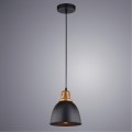 Подвесной светильник с 1 плафоном Arte Lamp A4245SP-1BK EURICA под лампу 1xE27 60W
