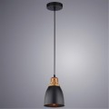 Подвесной светильник с 1 плафоном Arte Lamp A4248SP-1BK EURICA под лампу 1xE27 60W