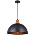 Подвесной светильник с 1 плафоном Arte Lamp A4249SP-1BK EURICA под лампу 1xE27 60W