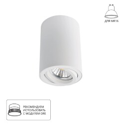 Накладной потолочный светильник Arte Lamp A1560PL-1WH SENTRY под лампу 1xGU10 50W