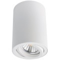 Накладной потолочный светильник Arte Lamp A1560PL-1WH SENTRY под лампу 1xGU10 50W