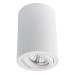Накладной потолочный светильник Arte Lamp A1560PL-1WH SENTRY под лампу 1xGU10 50W