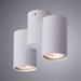 Накладной потолочный светильник Arte Lamp A1511PL-2WH GAVROCHE под лампы 2xGU10 35W