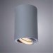 Спот поворотный потолочный Arte Lamp SENTRY A1560PL-1GY