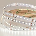 A2412008-01-3K Светодиодная лента 24В 9,6Вт/м 1000Лм/м 3000К CRI 90+ 8мм SMD2835 120шт/м 5м IP20