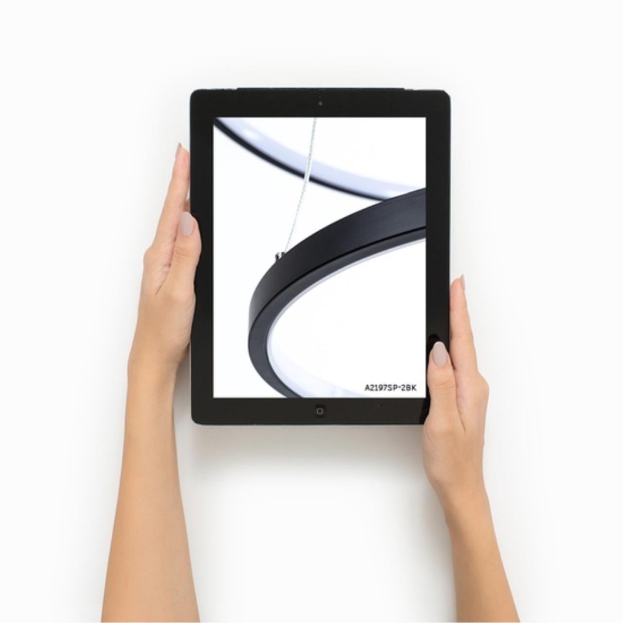 Подвесная люстра Arte Lamp FRODO A2197SP-2BK