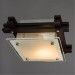 Настенно-потолочный светильник Arte Lamp A6462PL-1CK ARCHIMEDE под лампу 1xE27 60W