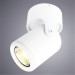 Накладной потолочный светильник Arte Lamp A3316PL-1WH LIBRA под лампу 1xGU10 50W