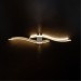 Настенный светильник Arte Lamp A2216AP-1WH