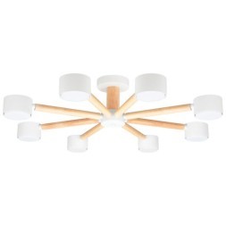 Потолочная люстра Arte Lamp TENDA A1624PL-8WH