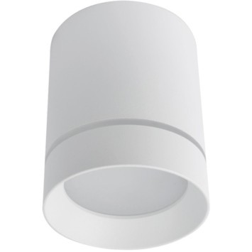 Накладной потолочный светильник Arte Lamp A1949PL-1WH ELLE светодиодный LED 9W